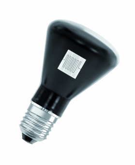 WI 41/G 6A 31V E27